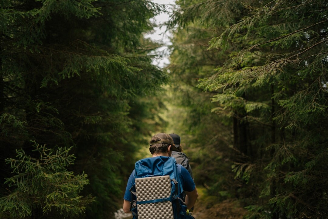 senior couple hiking in forest