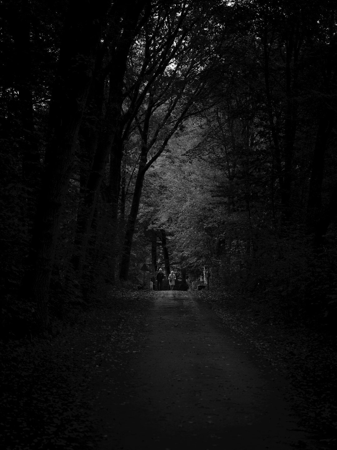 elderly people walking in nature