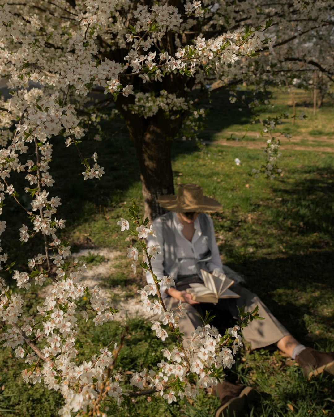 senior reading book in garden
